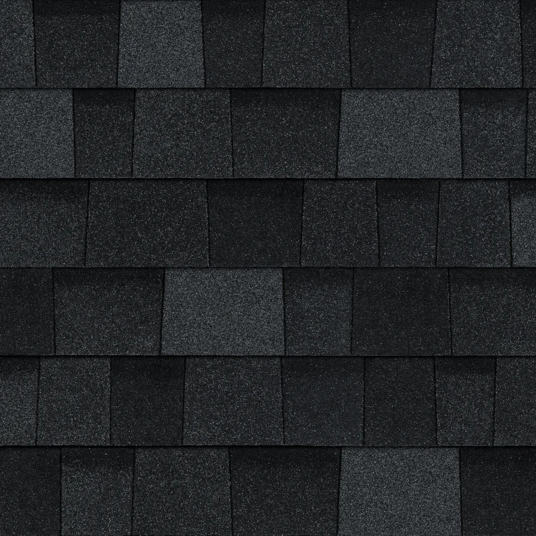 Onyx black shingle
